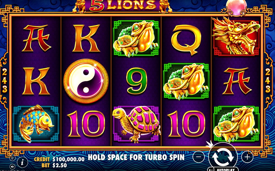 5 Lions